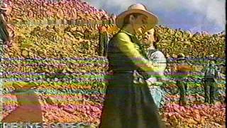 Alberto Plaza,  Dime hermano