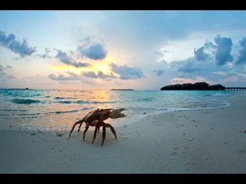 Dheyagandi Henun - Addu Maldives
