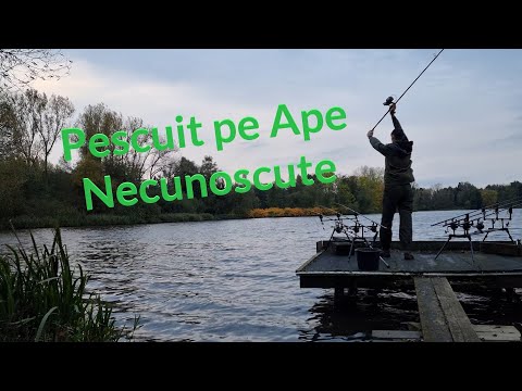 Cum Abordam o Partida de Pescuit Pe un Lac Necunoscut?!