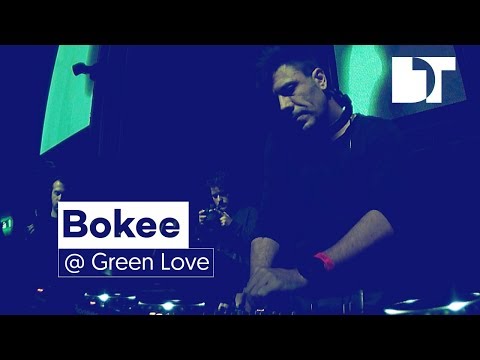 Bokee | Green Love Festival | Novi Sad (Serbia)