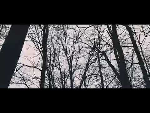 Sagopa Kajmer Oldu Olanlar klip