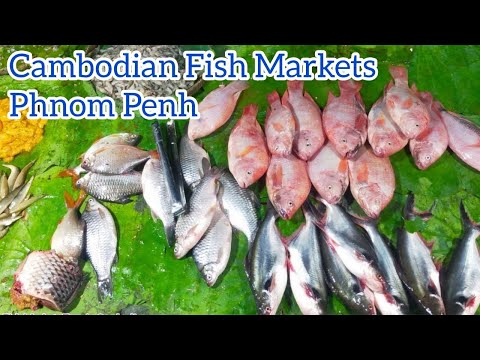 The Evening Street Markets in Phnom Penh 2023 | Cambodian Fish Markets
