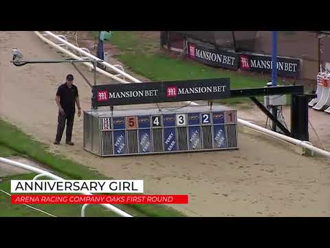 Anniversary Girl - ARENA RACING COMPANY OAKS FIRST ROUND