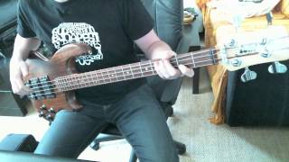 Primus - Too Many Puppies (Bass Cover)