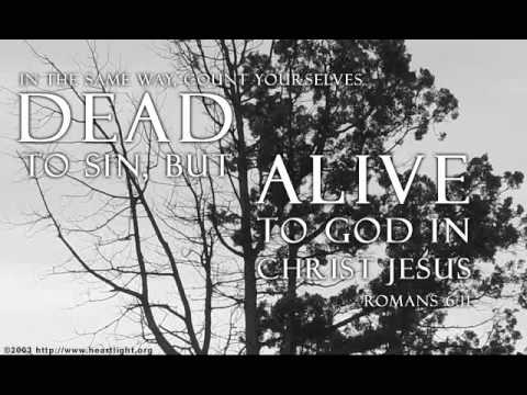 Opwekking 223 Jezus Uw Naam