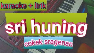 Download lagu sri huning karaoke sragenan cokek #campursari #sri huning tanpa vokal mp3
