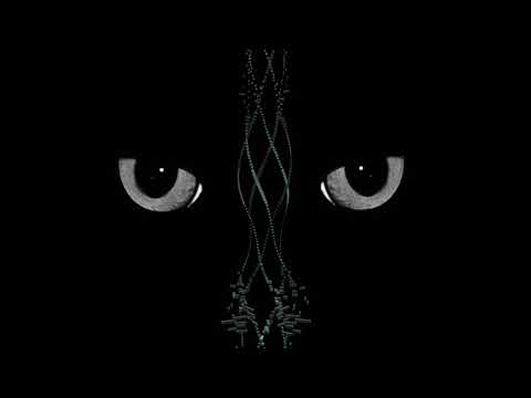 Rozzo Pacciani - OCD