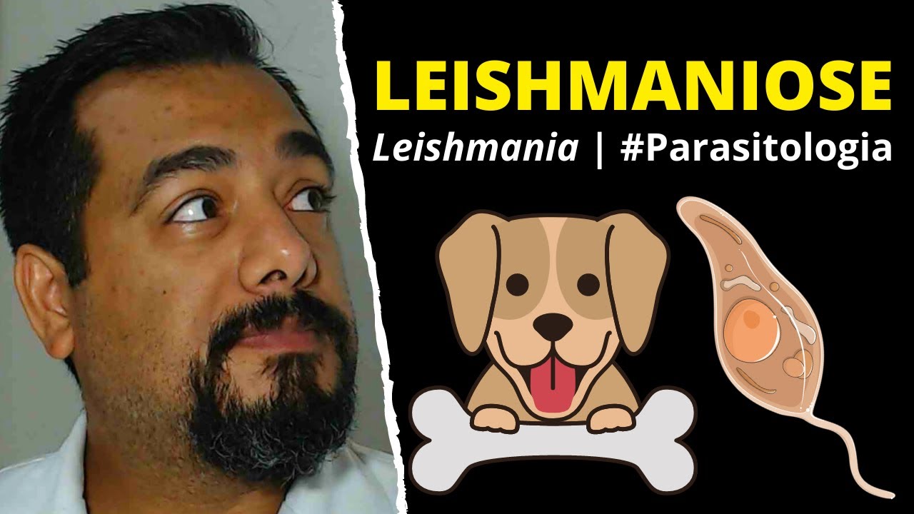 #Leishmaniose | Cutânea | Tegumentar | Visceral | #Calazar | #Leishmania | #Parasitologia