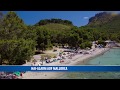Hai Alarm Auf Mallorca