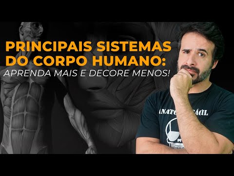 MAIN SYSTEMS OF THE HUMAN BODY LEARN MORE AND MEMORIZE LESS!