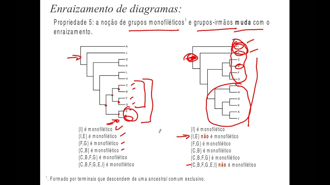 Enraizamento e definições de grupos