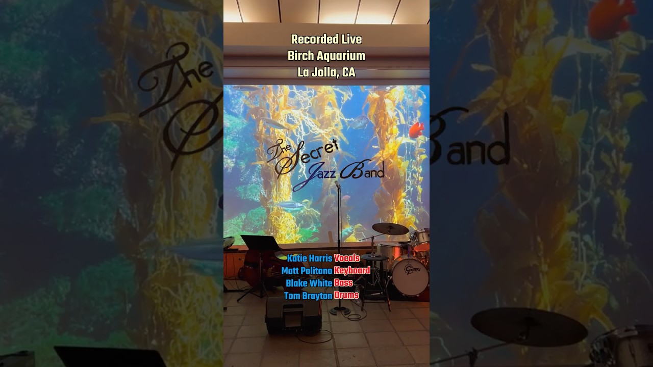 Promotional video thumbnail 6 for The Secret Jazz Band