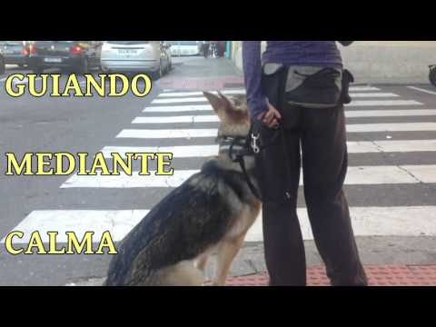 Yanu en la vida real