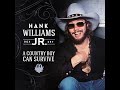 Hank Williams, Jr. The Blues Man w/lyrics