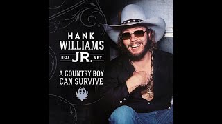 Hank Williams, Jr. The Blues Man w/lyrics