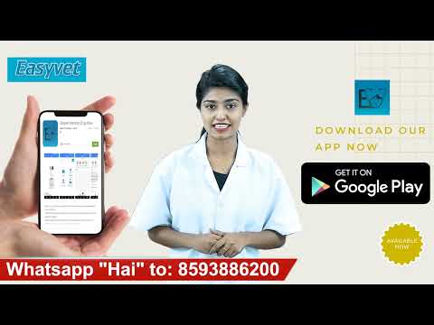 Easyvet Video
