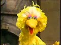 Classic Sesame Street Big Bird Sings Imagine With Me