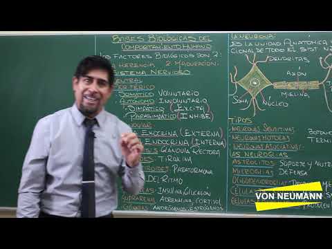 Bases biológicas del comportamiento humano - Parte 1 de 3