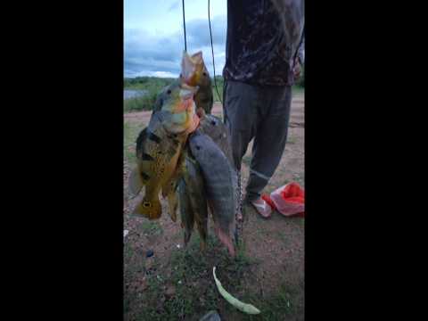 pescaria em Ingazeira-PE