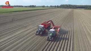 preview picture of video 'Seed Potato harvest at Bartelen farm in Oud Gastel'