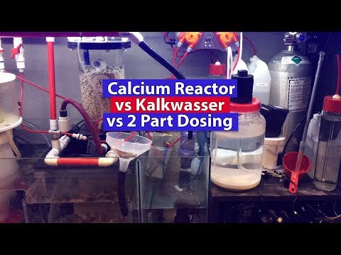 Kalkwasser vs 2 Part Dosing vs Calcium Reactor for your reef tank