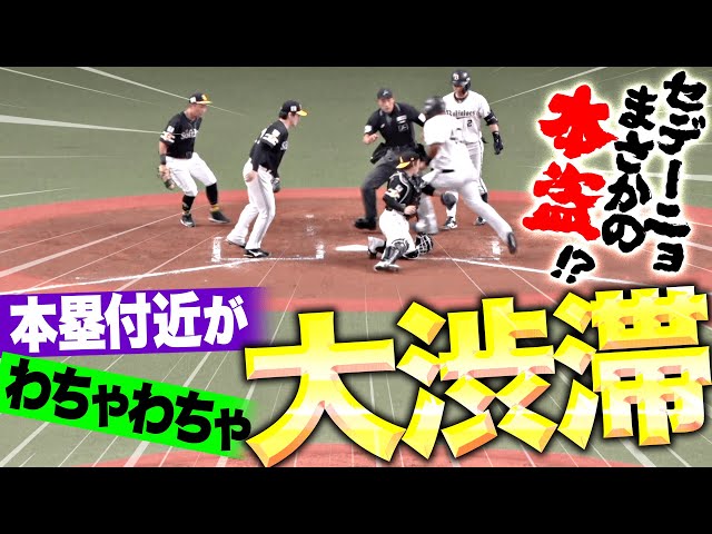 【本塁付近が“大渋滞”】セデーニョ『まさかホームスチール…!? 決死の本塁突入で奇跡の生還を果たす！』