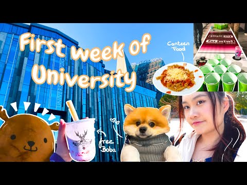 My first week of university! | ERSTI exploring Leipzig, first Vlog, new friends, partying👩‍🎓🌸