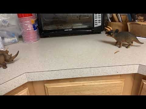 Woolly Rhino vs Triceratops:Dinosaur Battles Special