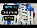 HIV Positive Blood Test Report How Does HIV Test Strip Work
