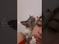 The cat purring sound is too loud