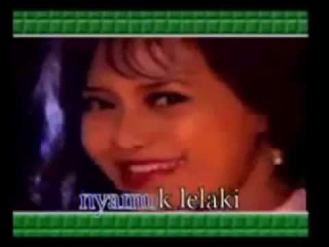 Nyamuk Lelaki (ELLA NURAINI) Karya Fazal Dath