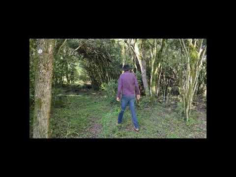 Concurso Faculdade CNA - Diego Duarte Varela