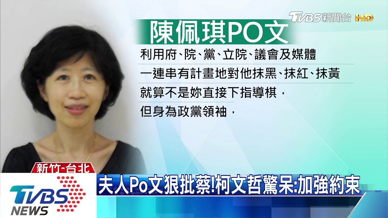 火力全開！陳佩琪痛批　恨蔡總統永生難忘