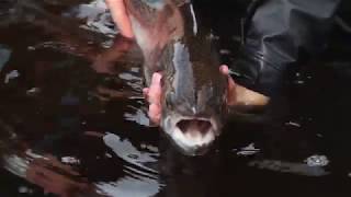 You Fish Scotland - 74