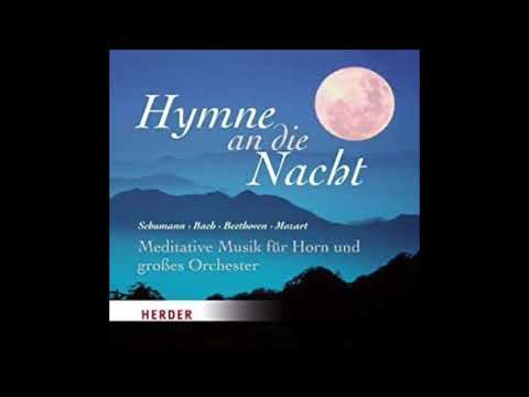 Mercadante, Giuseppe - Concerto for Horn & Orchestra in d minor, 1. Mvt. - Larghetto alla siciliana