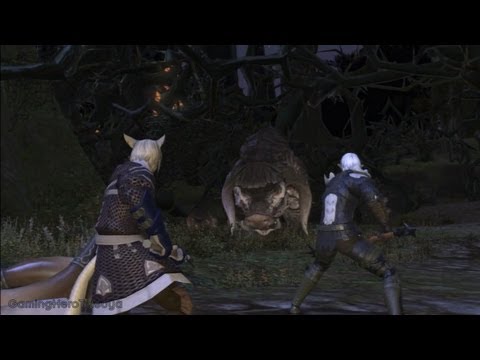PS3 - Final Fantasy XIV: A Realm Reborn gameplay (part 23) [HD]