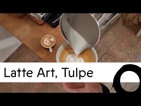Kaffeeothek Webinar - Latte Art Tulpe