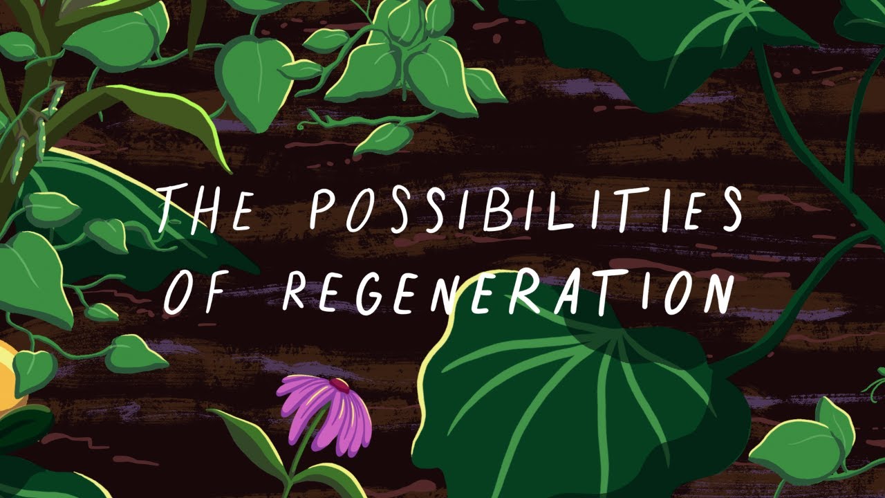 The Possibilities of Regeneration