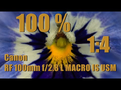 Canon RF 100mm f/2.8 L MACRO IS USM - Testlauf