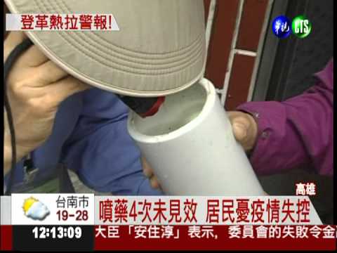 高雄登革熱警報 半月暴增2百例!