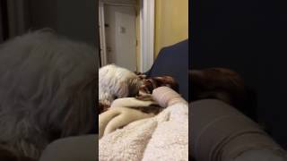 Trying cover up mom's hurt foot