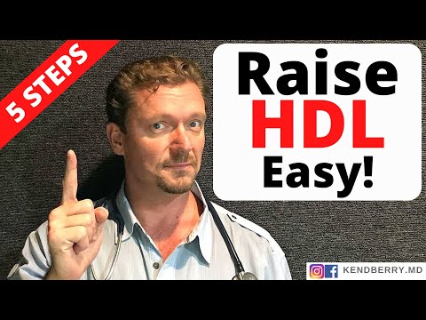 Raise Your HDL in 5 Easy Steps (Raise Good Cholesterol) 2024