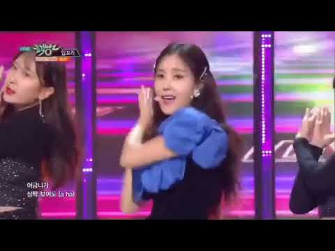 190226 Hyomin Instagram Video ①