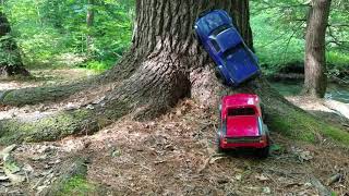 traxxas trx4 sport tree climb and flop