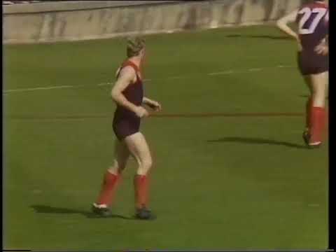1987 Prelimanary Final Hawthorn v Melbourne
