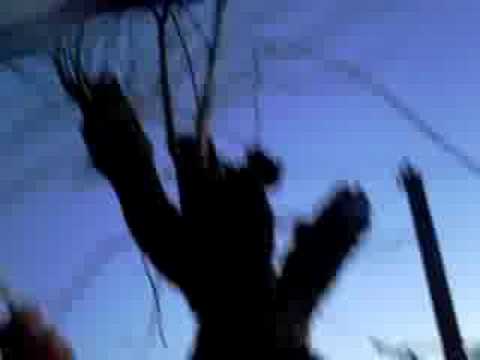 "La dictadura de casal" Barra: Los Lagartos del Norte &bull; Club: Tacuarembó