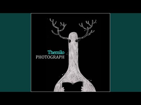 For All The Dreams That Wings Could Fly