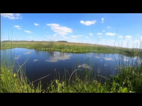 ARROYO PESCA ..VILLA DEL CARMEN..( DURAZNO ) ep 127