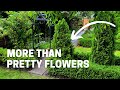 My Garden Changed My Life A Garden Is More Than Pretty Flowers