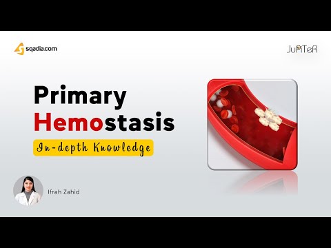Hemostasis | Primary Hemostasis | Physiology of Platelets, Clotting Factors and Fibrin